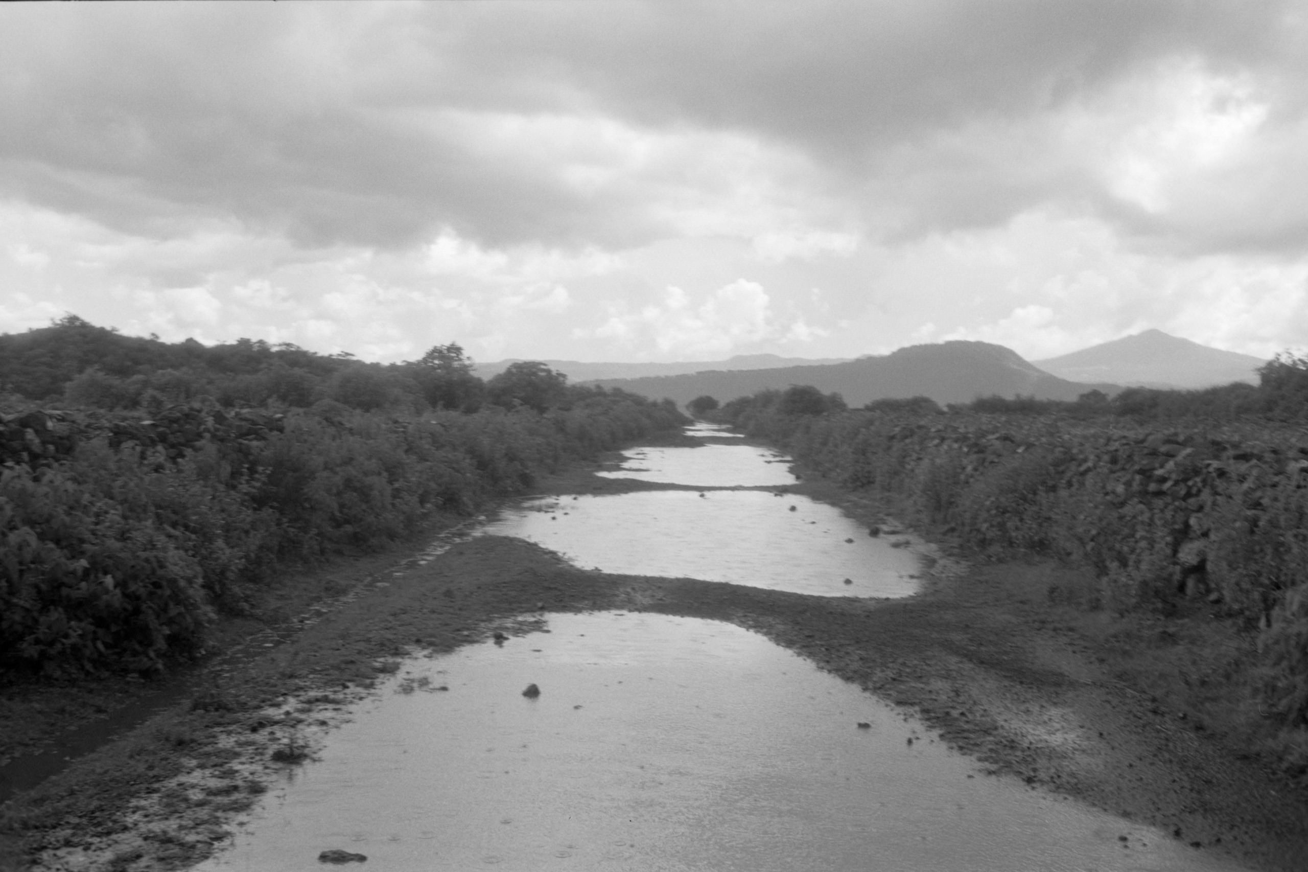 AHP FilmScan 240807 0501